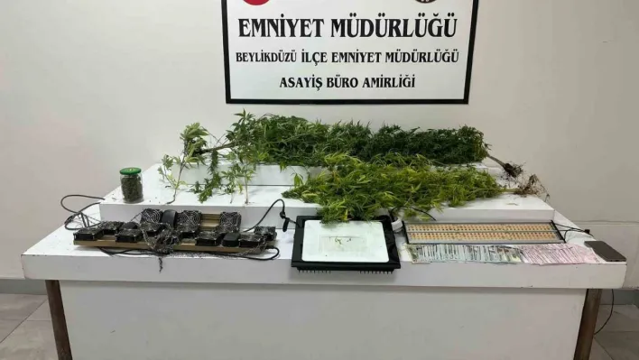 Beylikdüzü'nde uyuşturucu serasına çevrilen eve baskın: 1 gözaltı