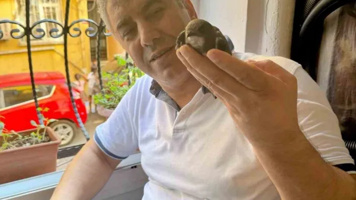 Beyoğlu'nda 6 yıl önce tedavisini yaptığı ebabil kuşu yeniden penceresine kondu