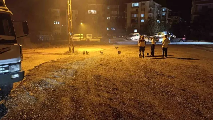 Beypazarı'nda kümes yangını: 41 tavuk telef oldu