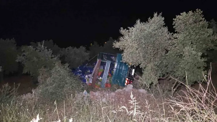 Biber yüklü kamyon zeytinliğe uçtu: 1 yaralı