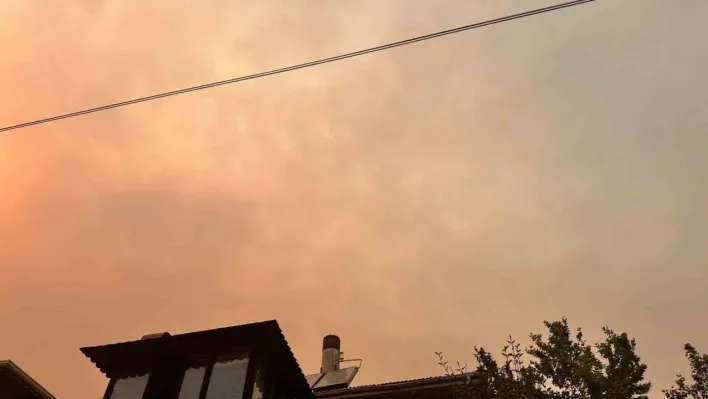 Bilecik'e kül yağıyor