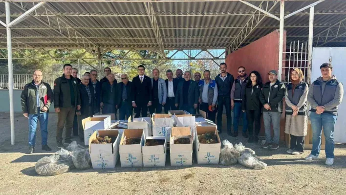 Bilecik'te 42 bin adet çilek fidesi dağıtıldı