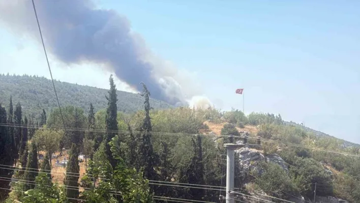 Bilecik'te alevler tavuk çiftliklerine dayandı