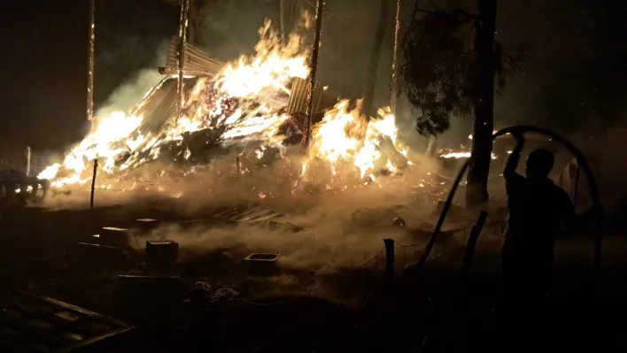 Bilecik'te bir orman yangını daha başladı