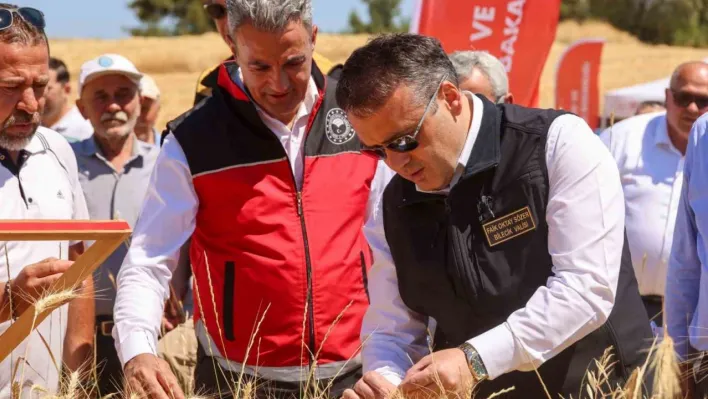 Bilecik'te bu yıl 75 bin 104 ton buğday hasadı yapılacak