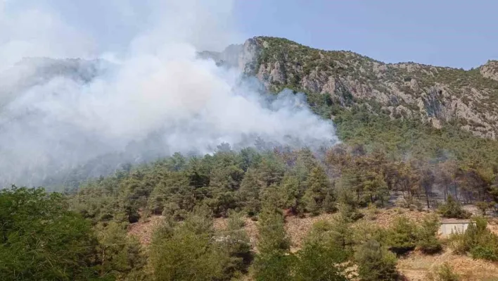 Bilecik'te çıkan orman yangını kontrol altına alınmaya çalışılıyor