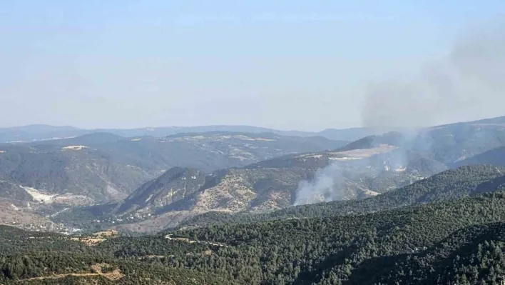 Bilecik'te çıkan orman yangını kontrol altına alındı