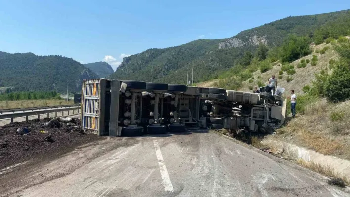 Bilecik'te devrilen tırın sürücüsü yaralandı