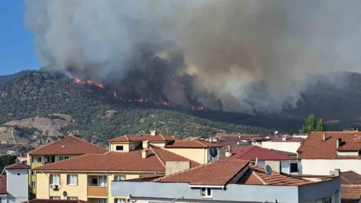 Bilecik'te kısmen kontrol altına alınan yangın yeniden alevlendi