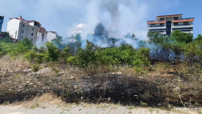 Bilecik'te makilik çıkan yangın büyümeden söndürüldü