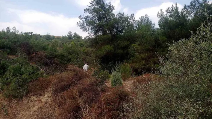 Bilecik'te ormanlık alanda kimliği belirsiz erkek cesedi bulundu