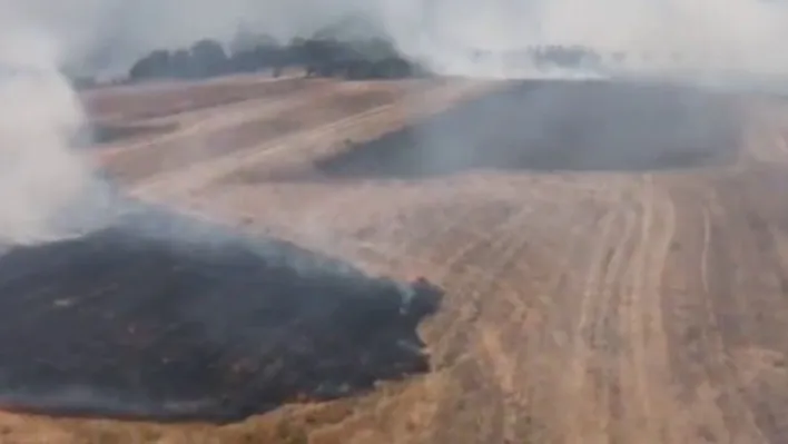 Bilecik'te tarım arazisinde çıkan yangın söndürüldü