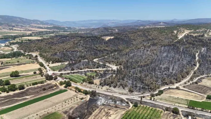 Bilecik'te yanan ormanlık ve kırsal alan havadan görüntülendi