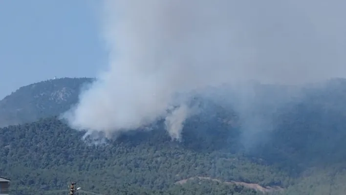 Bilecik'teki orman yangınında alevler Borcak köyüne doğru ilerliyor