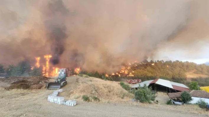 Bilecik'teki orman yangınında alevler Kazancı köyüne ulaştı