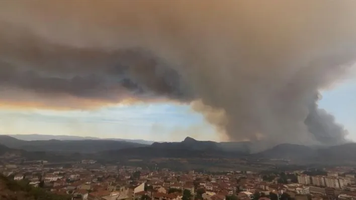 Bilecik'teki orman yangınında son durum