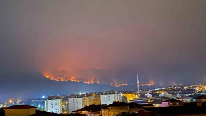 Bilecik'teki yangında alevler ilçe merkezine doğru ilerliyor