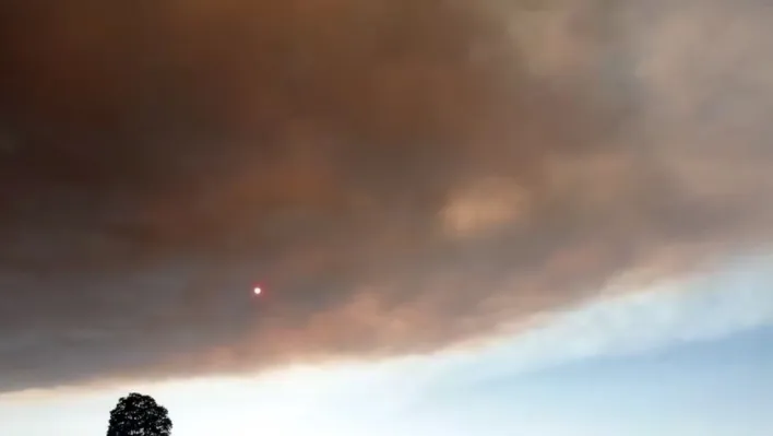 Bilecik'teki yangının dumanları Bursa'ya ulaştı