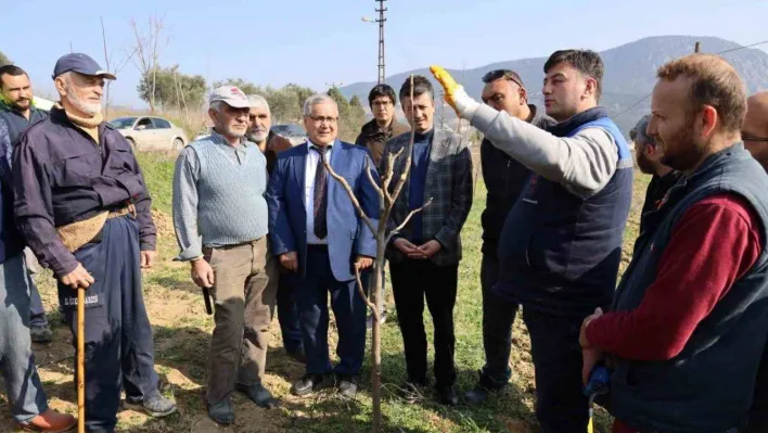 Bilecikli çiftçilere ağaç budama eğitimi verildi