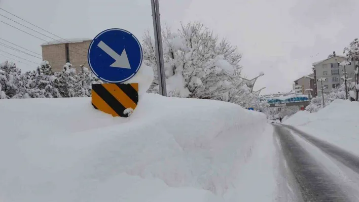 Bitlis'te 251 köy yolu ulaşıma kapandı