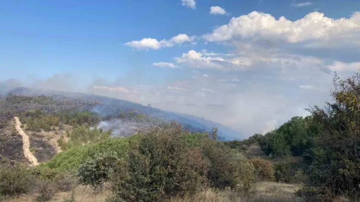 Bolu'da devam eden yangın Ankara istikametine yöneldi