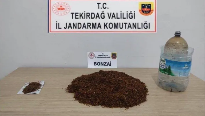 Bonzai, esrar ve tabancalar ele geçirildi