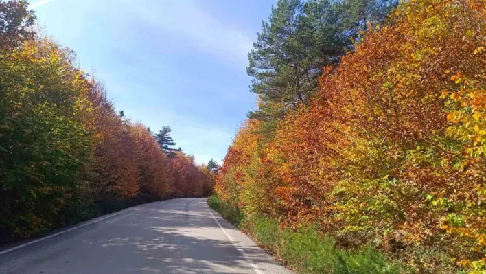 Bozcaarmut'da sonbahar büyüsü