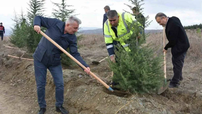 Bozüyük'te de 100. Yıl Cumhuriyet Ormanları kuruluyor