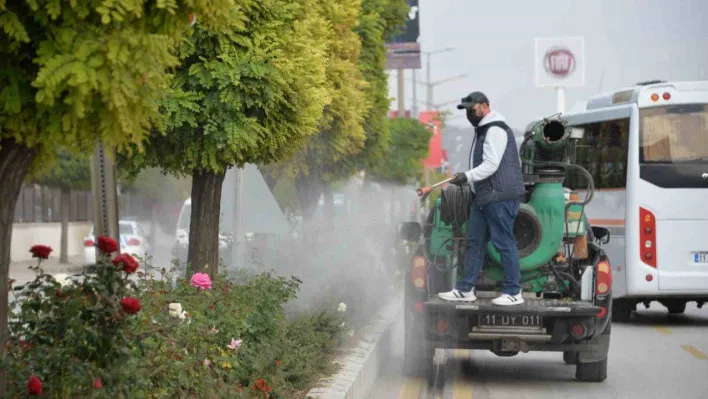 Bozüyük'te güller ilaçlanıyor