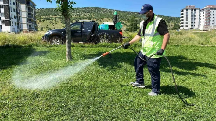 Bozüyük'te haşere mücadelesi kene ilaçlaması ile sürüyor