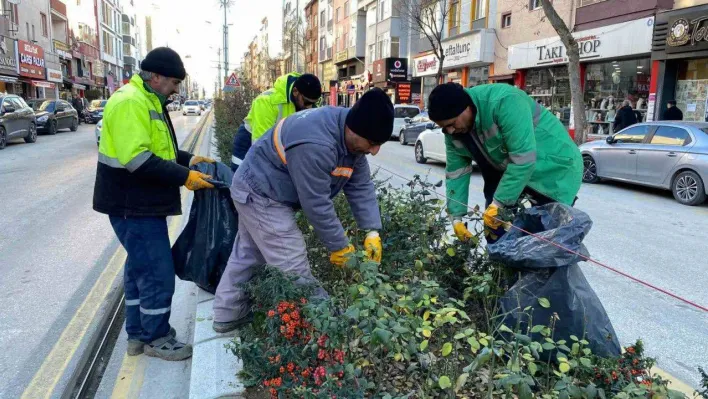 Bozüyük'te park bahçelerde bakım ve temizlik çalışmaları sürüyor