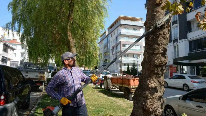 Bozüyük'te yeşil alanlarda çalışmalar devam ediyor