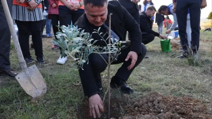 BŞEÜ'de zeytin fidanları toprakla buluştu