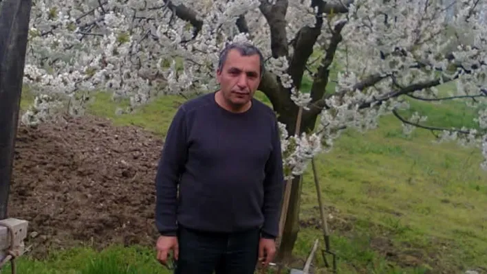 Budadığı ağaçtan düşen adam hayatını kaybetti