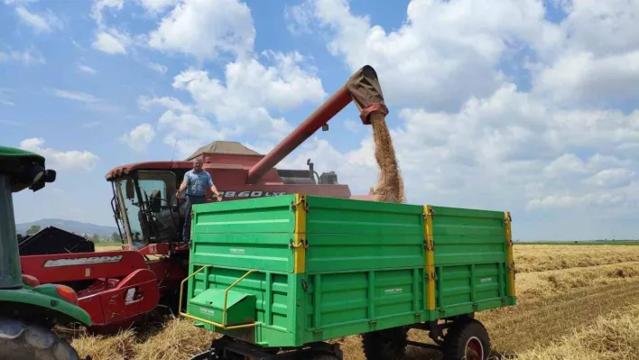 Buğday verimi Keşan çiftçisinin yüzünü güldürdü