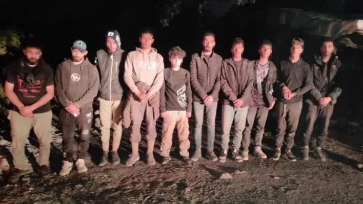 Bulgaristan'a kaçmaya çalışan 10 düzensiz göçmen yakalandı