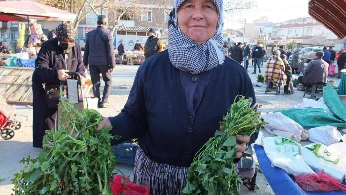 Burhaniye'de araziden toplanan otlar geçim kaynağı oldu