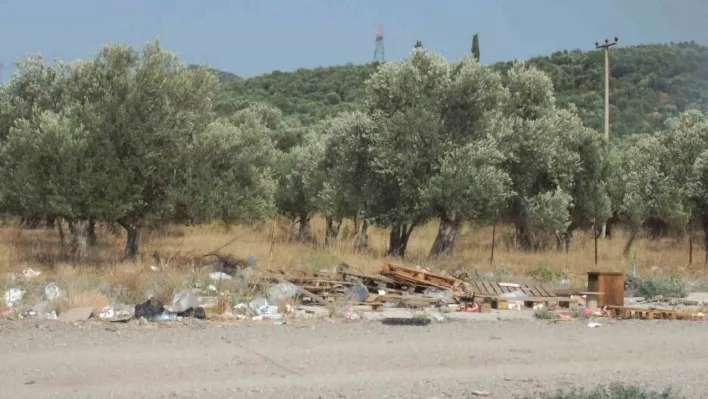 Burhaniye'de çöplük yangınına köpüklü müdahale