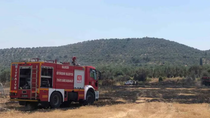 Burhaniye'de otluk alanda yangın