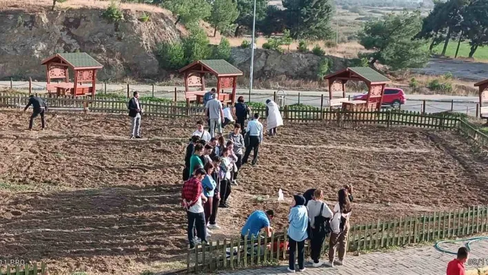 Burhaniye Uygulamalı Bilimler Fakültesi'nde sebze yetiştirilecek