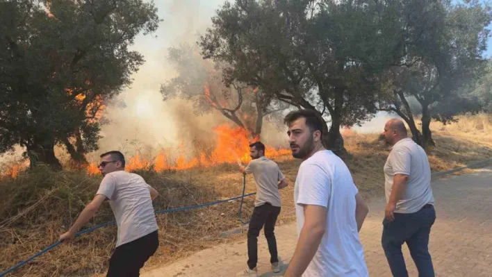 Bursa'da 20 zeytin ağacı yandı: 2 çocuk gözaltında
