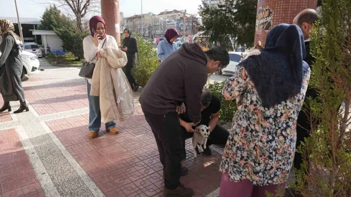 Bursa'da 4 büyüklüğünde deprem