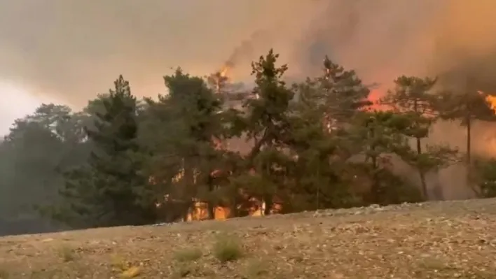 Bursa'da 5 köyün tahliye edildiği yangın büyüyerek sürüyor