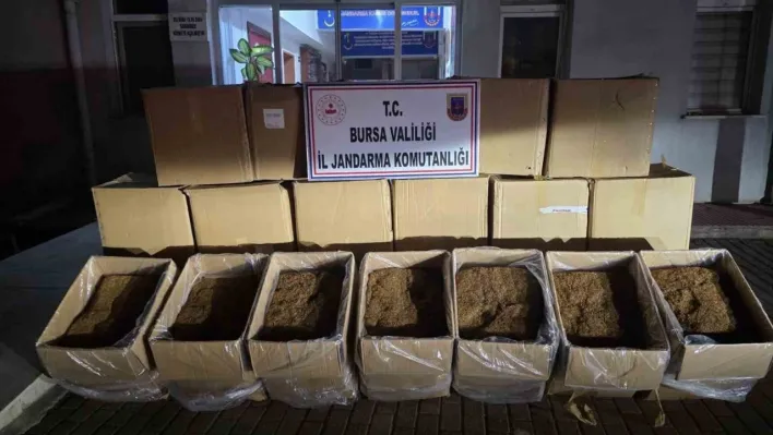 Bursa'da 750 kilogram kaçak tütün ele geçirildi