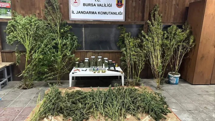 Bursa'da 9 kilo 400 gram esrar ele geçirildi