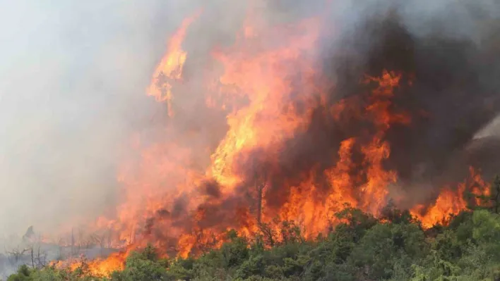Bursa'da alevler tekrar yükseldi