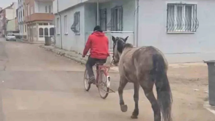 Bursa'da atı bisikletine bağlayarak götürdü