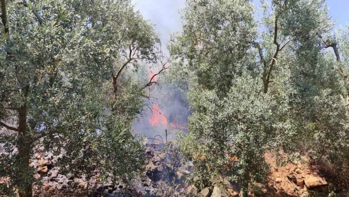 Bursa'da dört noktada aynı anda yangın