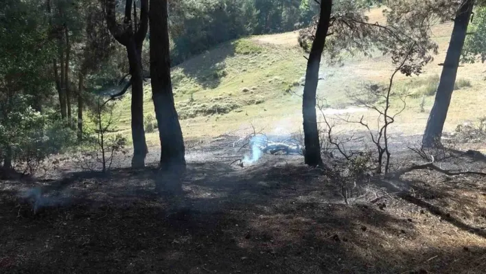 Bursa'da iki ayrı noktada çıkan yangın söndürüldü