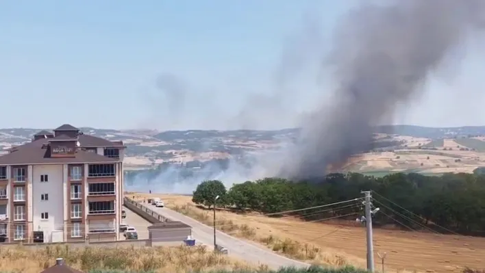 Bursa'da korkutan anız yangını